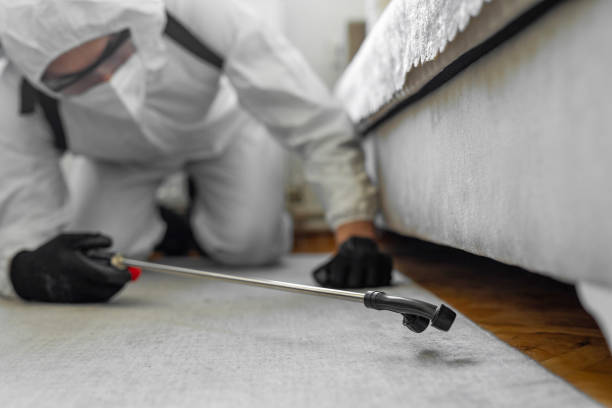 Professional Mosquito Control technician working in Plainview, TN