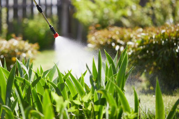 24/7 Emergency Mosquito Control experts in Plainview, TN